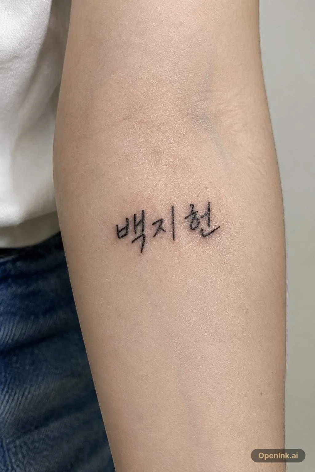 백지헌